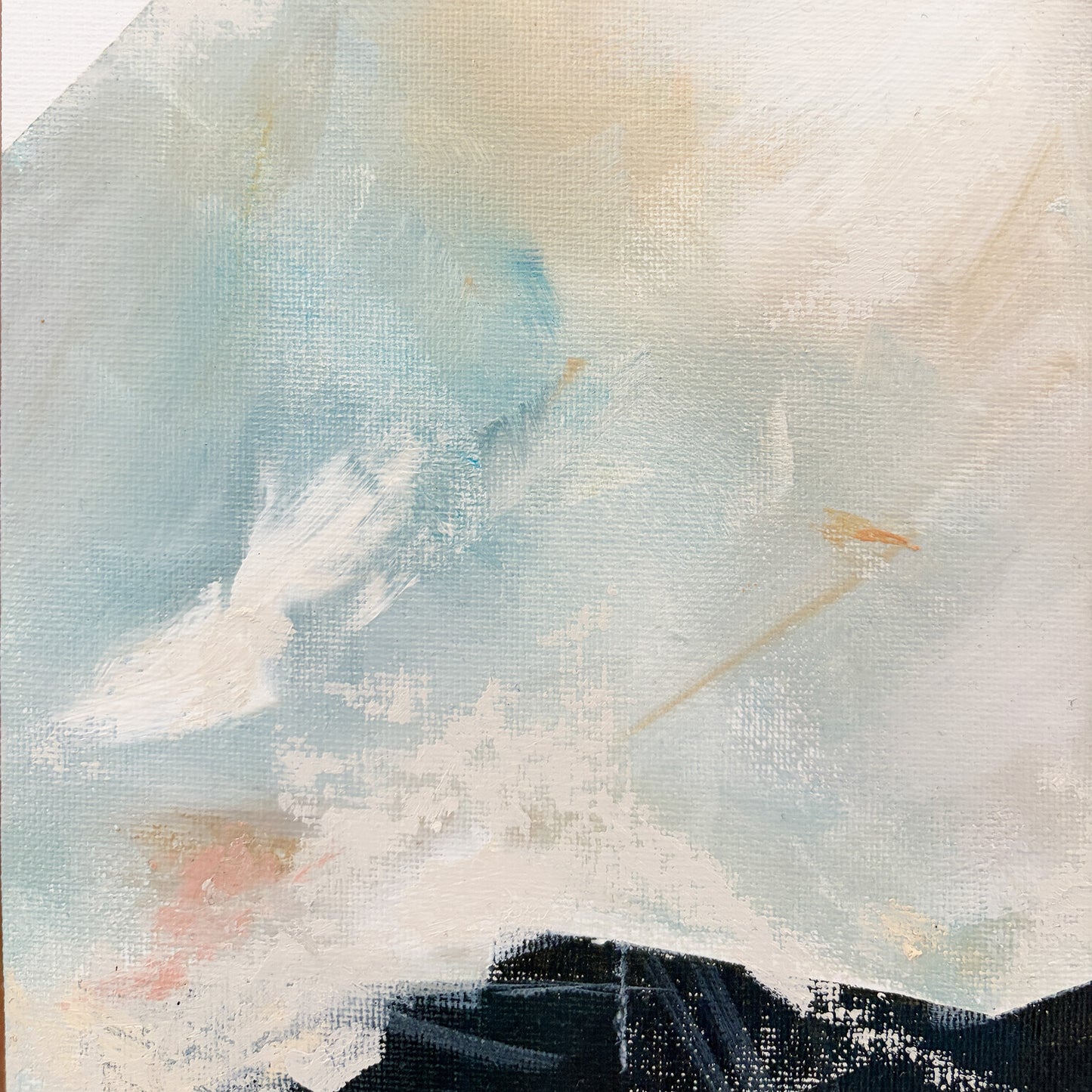Land Form 029