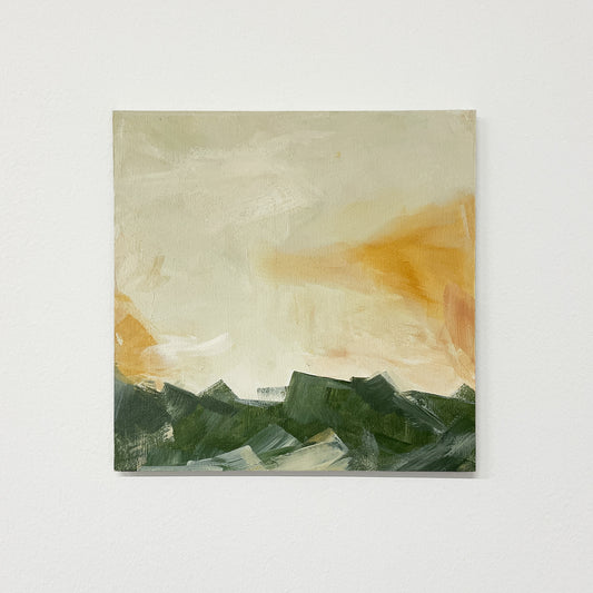 Land Study 010