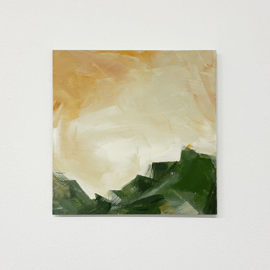 Land Study 011