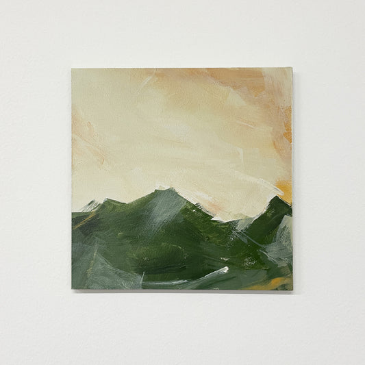 Land Study 012