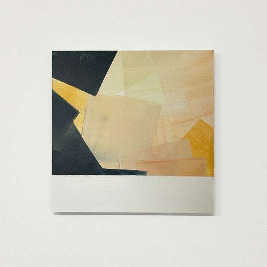 Land Study 013