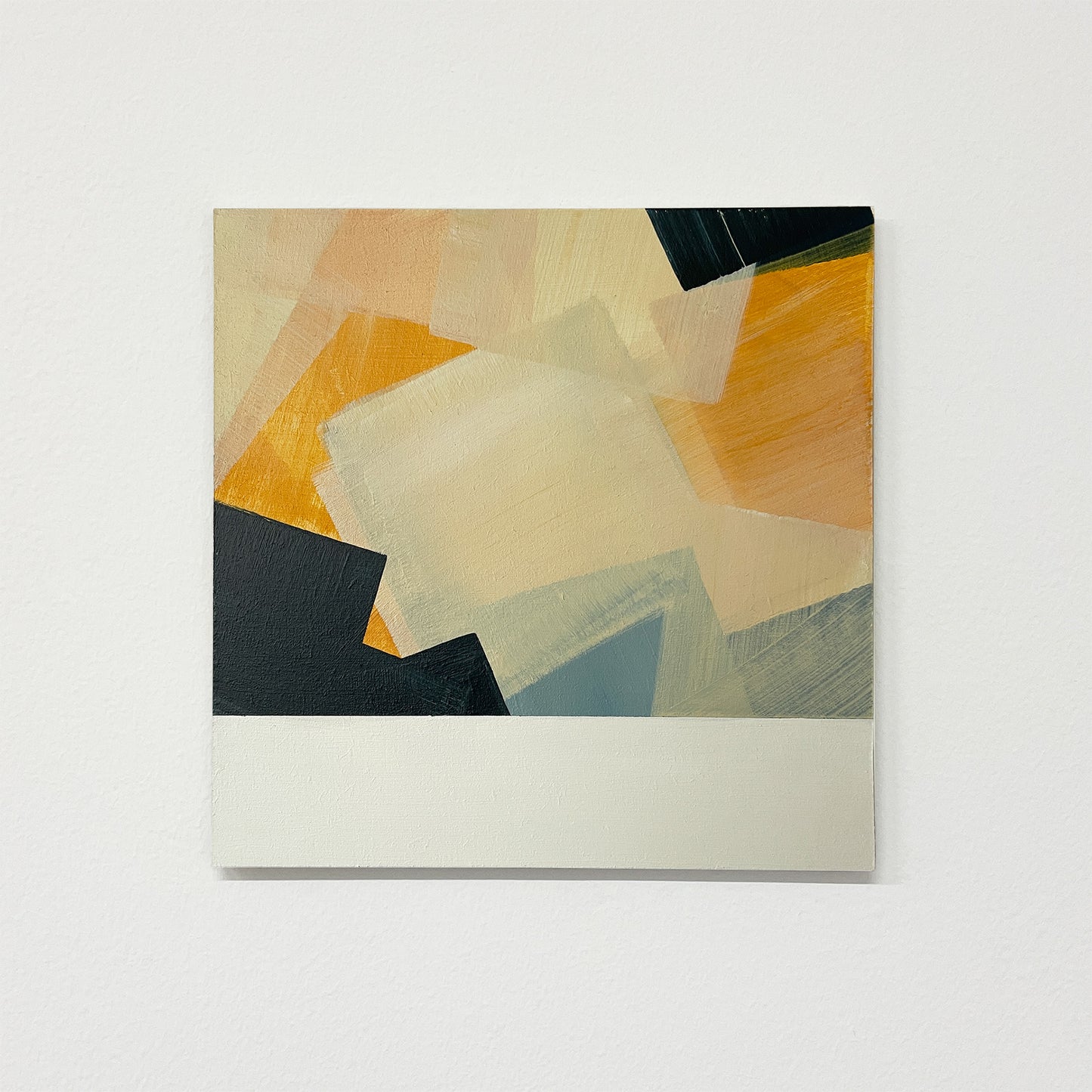 Land Study 014