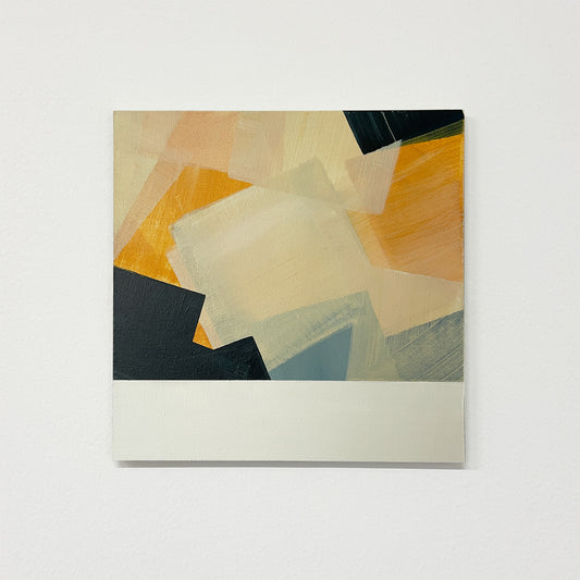 Land Study 014